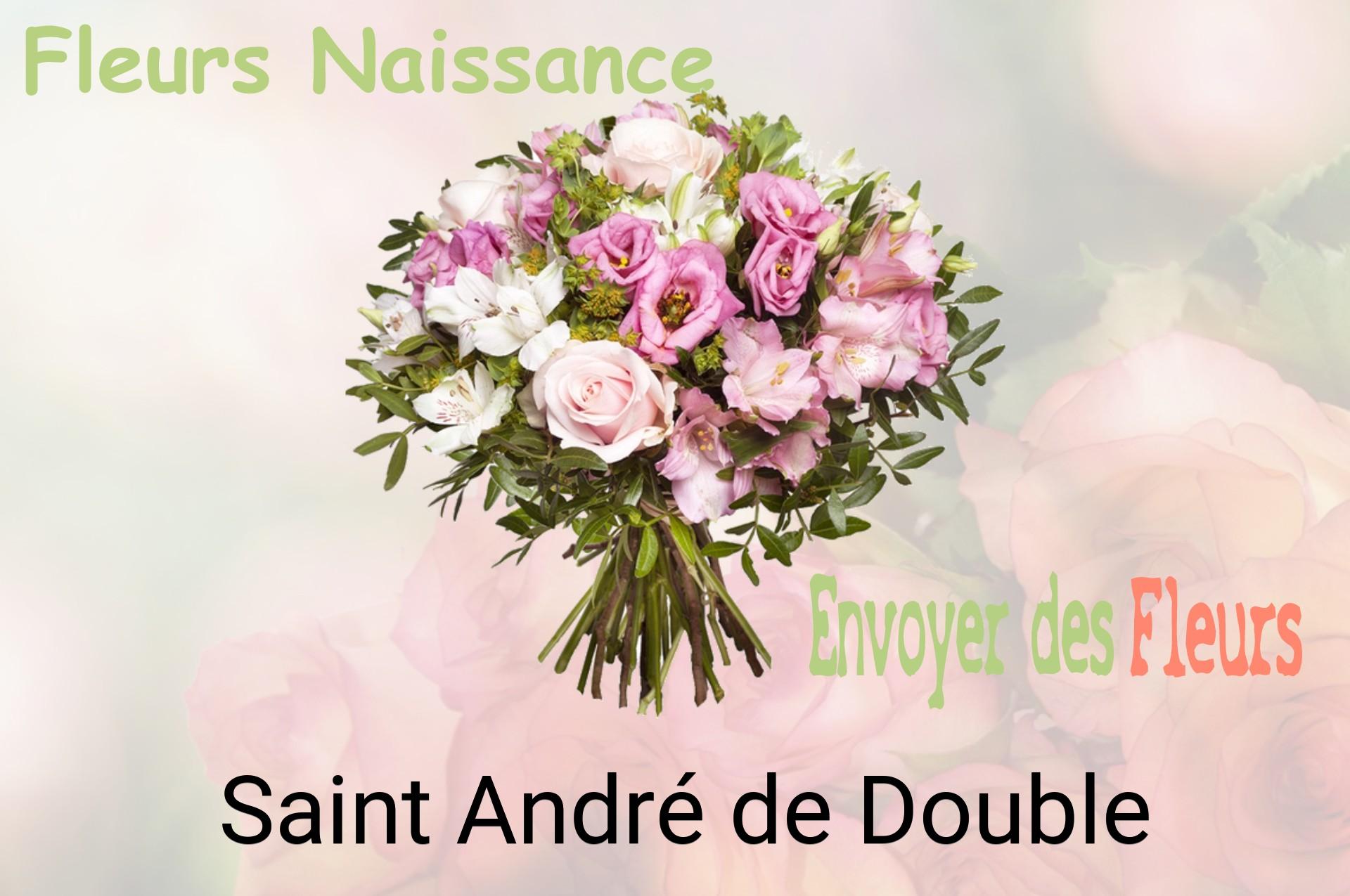Bouquet de fleurs de naissance livré à Saint-André-de-Double